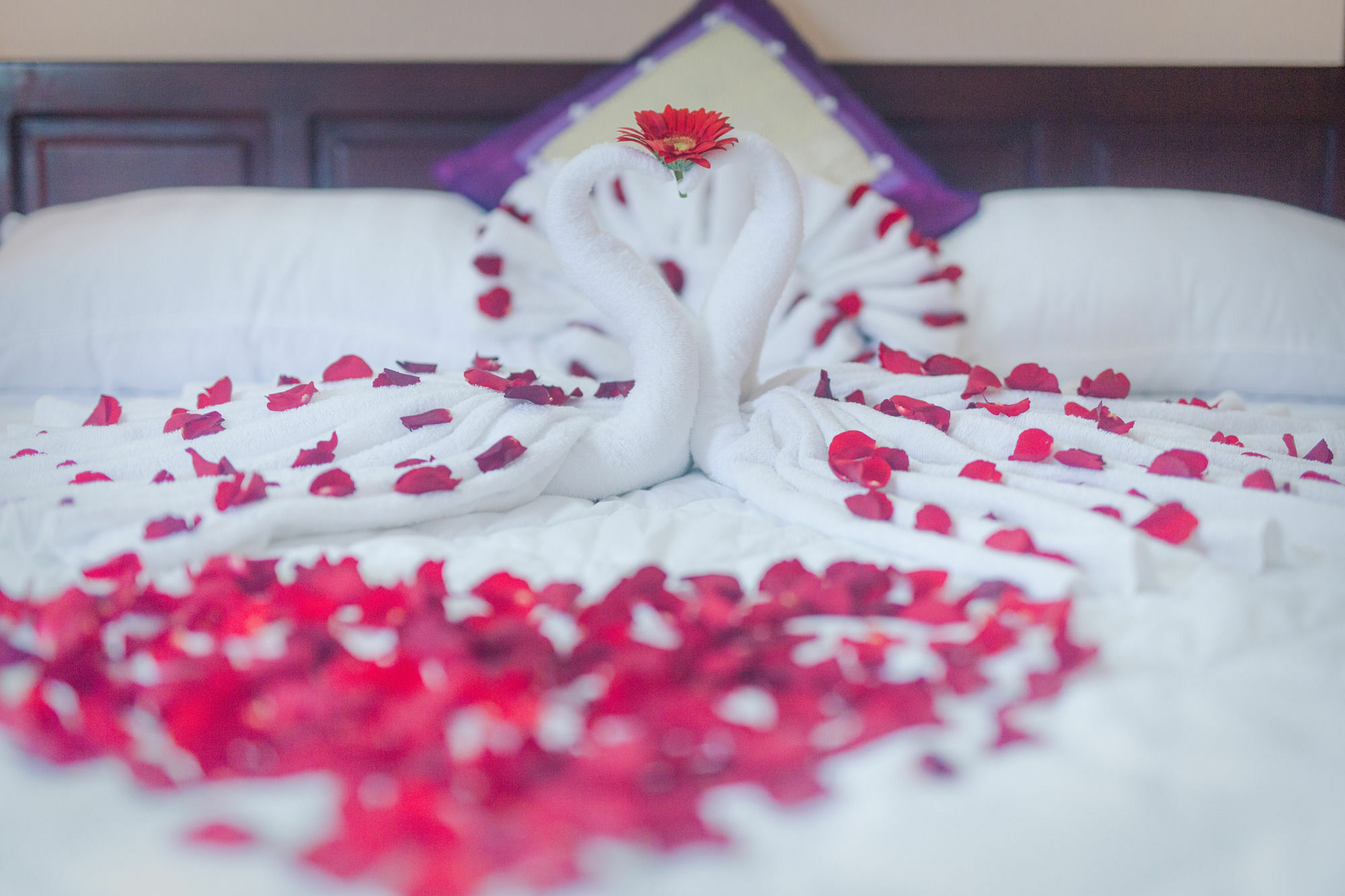 Oyo 117 Gina Hotel Da Nang Eksteriør bilde